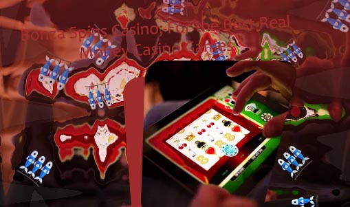 Bonza spins casino
